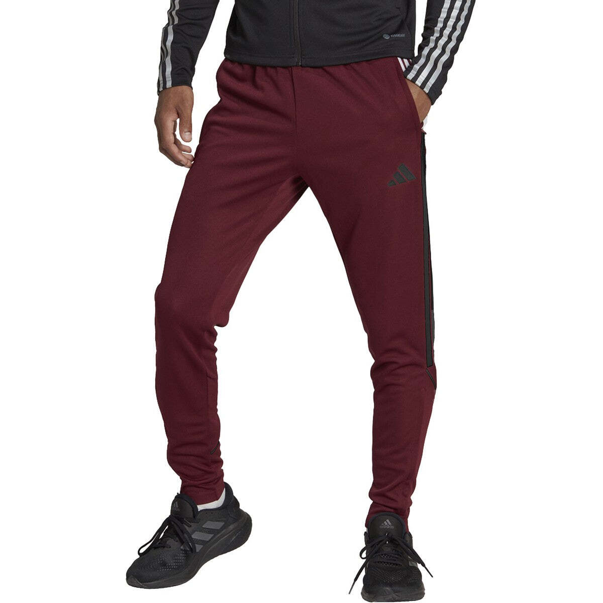 Men's Tiro 23 League Track Pants - Maroon / Black
