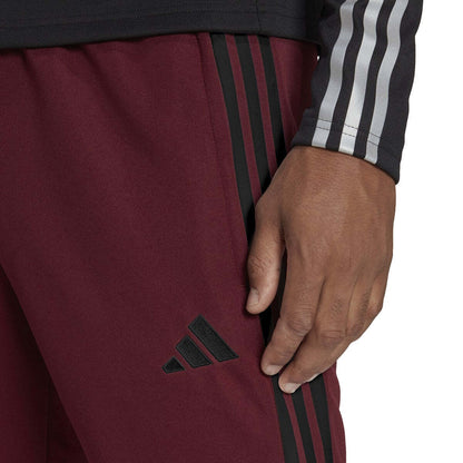 Men's Tiro 23 League Track Pants - Maroon / Black