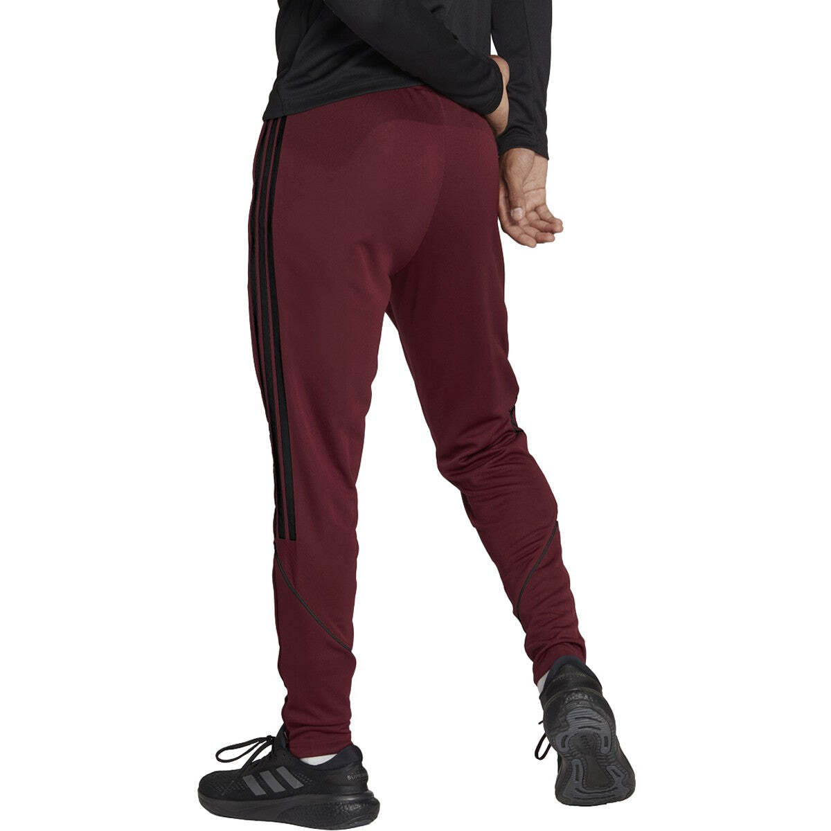 Men's Tiro 23 League Track Pants - Maroon / Black